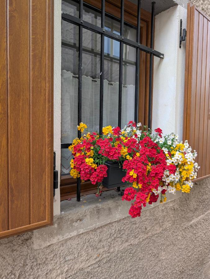 miniapp. a 2 km da Pedavena - Ferienwohnung Pedavena