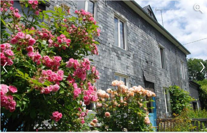 Le Neufbosc - Bed and Breakfast