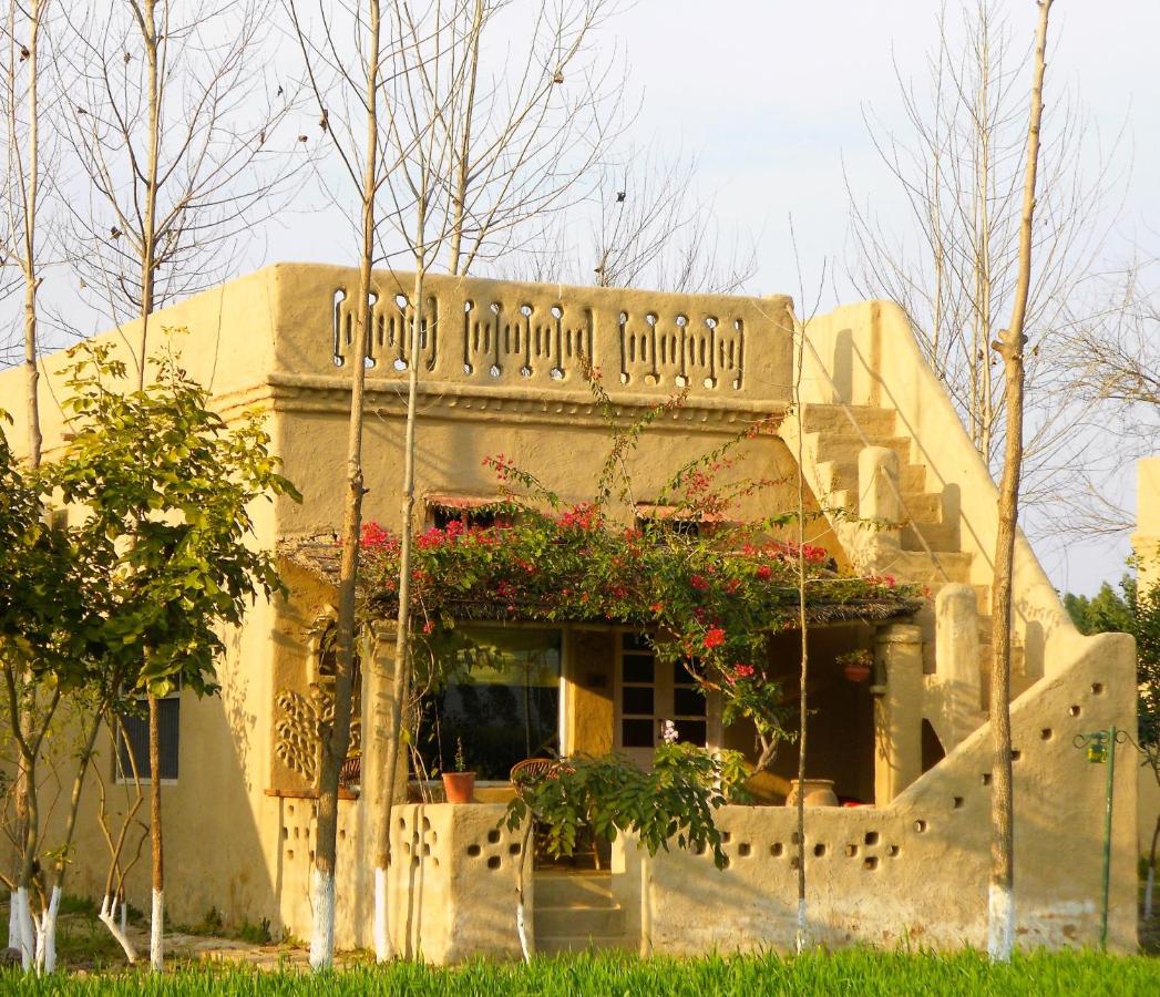 Punjab Village Farm near Amritsar - B&B