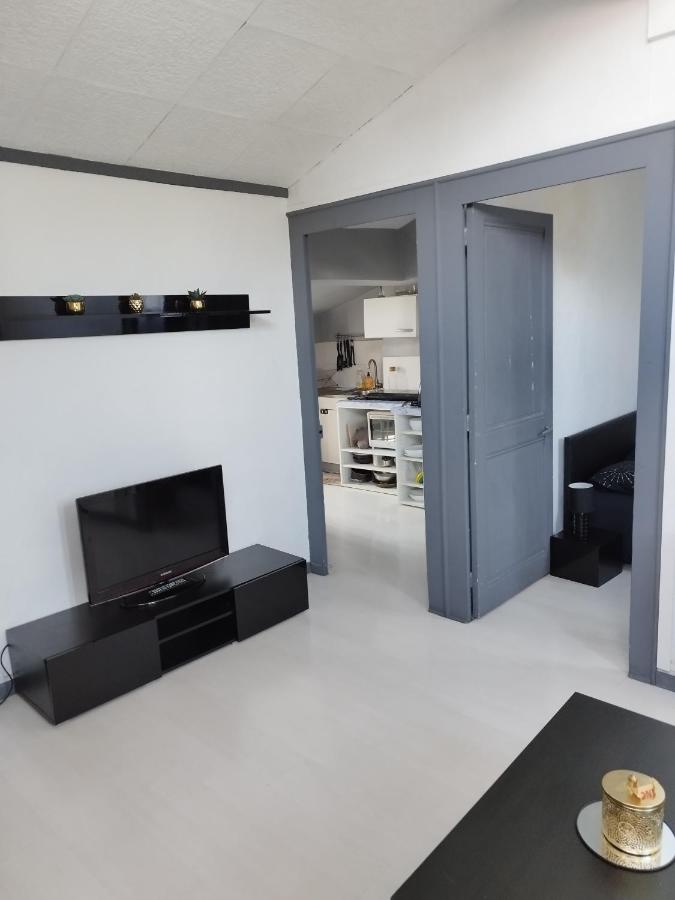Joli Appartement hyper centre Grenoble - Ferienwohnung Grenoble