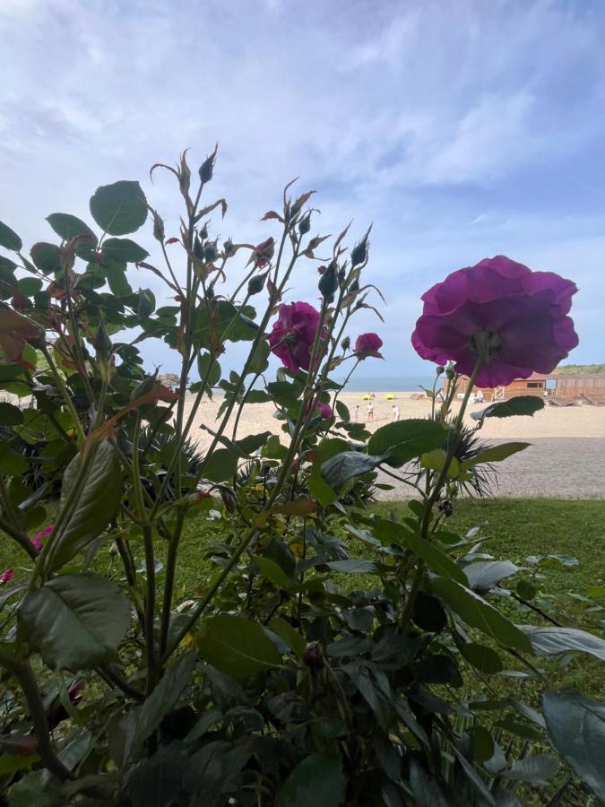Appartement 1 Chambre - Vue sur Mer