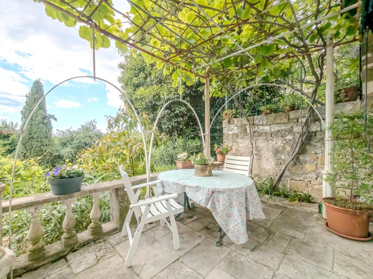 APARTMA SERENA Pod piranskimi zidovi - APARTMENT SERENA Sotto le Mura di Pirano - Chambres d'hôtes Piran