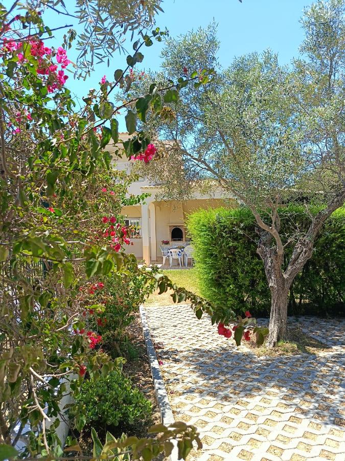 Casa das Oliveiras - piscina privada, jardim, perto da praia - Bed and Breakfast Moncarapacho