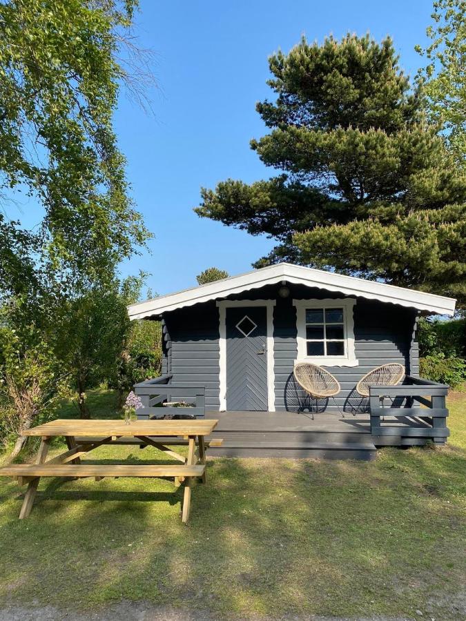 Blockhütte Nordsee Tiere Spielplatz - Ferienwohnung Fanø Vesterhavsbad