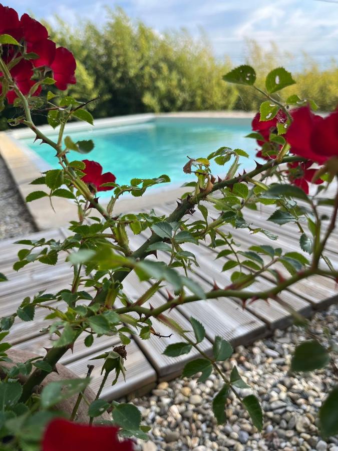 Le chant des cigales - B&B Villemoustaussou