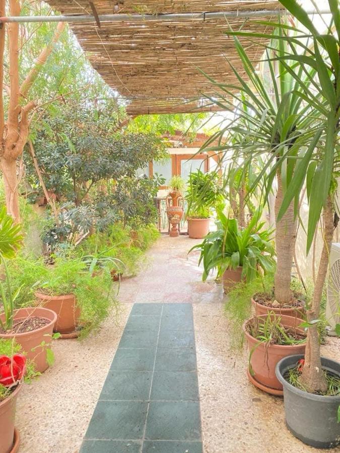 sefranda-Casa di Elena - B&B