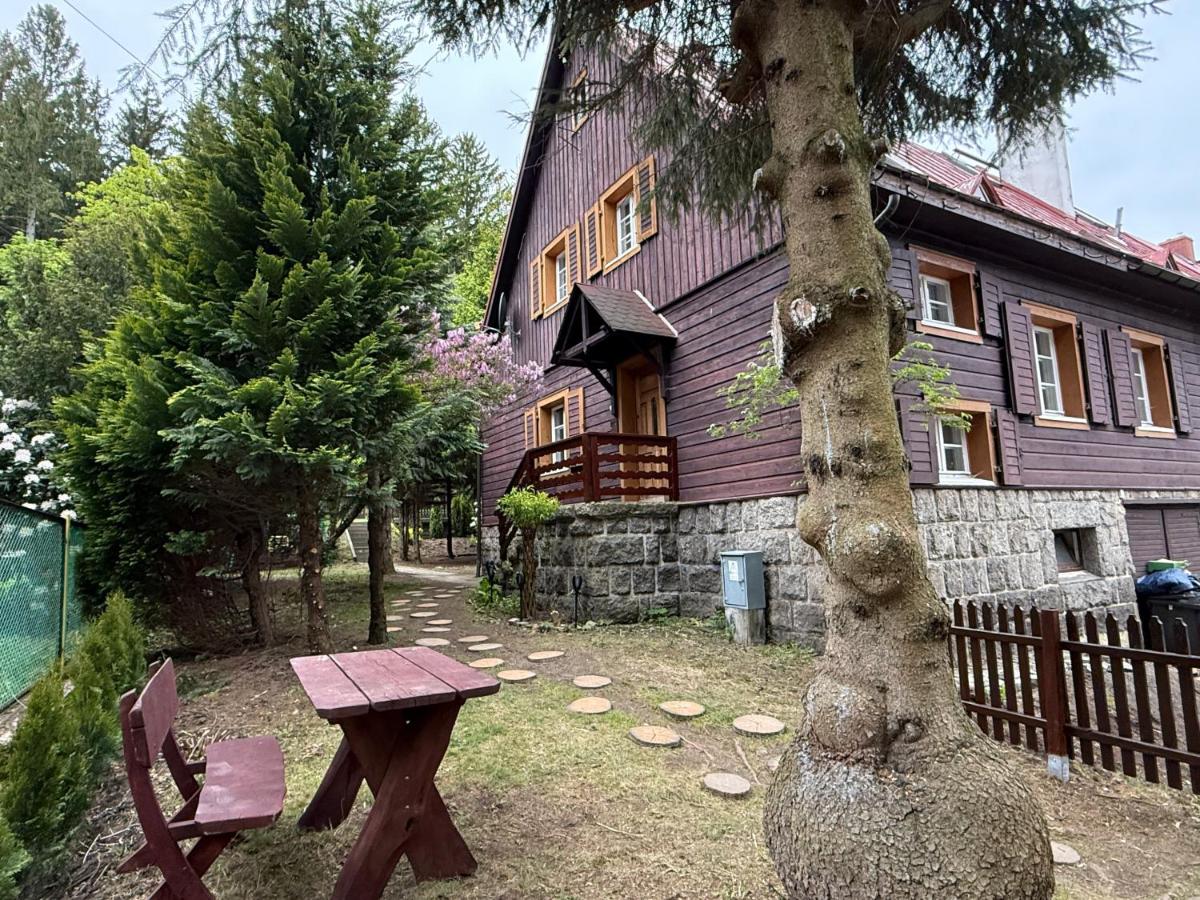 Biały Jar Ski & Bike Apartamenty w Karpaczu przy wyciągu z widokiem - B&B