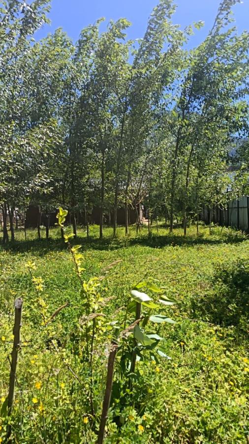Cabaña Moderna para Desconectar - Ferienwohnung Puerto Aysén