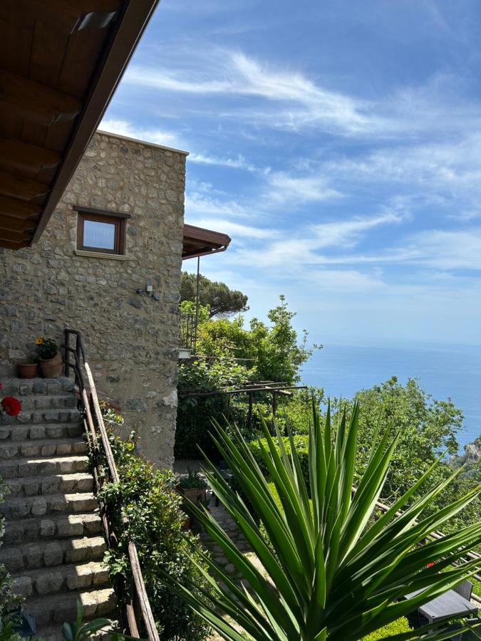 Agriturismo Orrido di Pino - Ferienwohnung Agerola