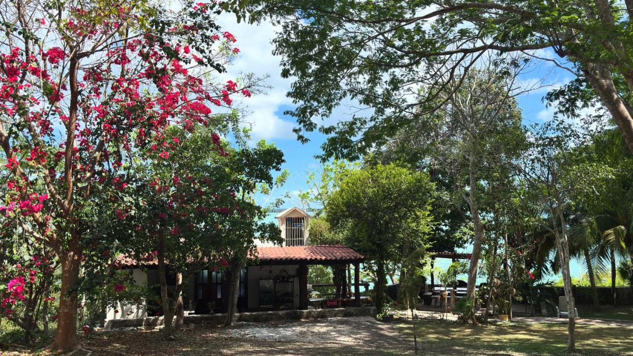 Casa Agua Bacalar / Naajil Ha - Chambres d’hôtes