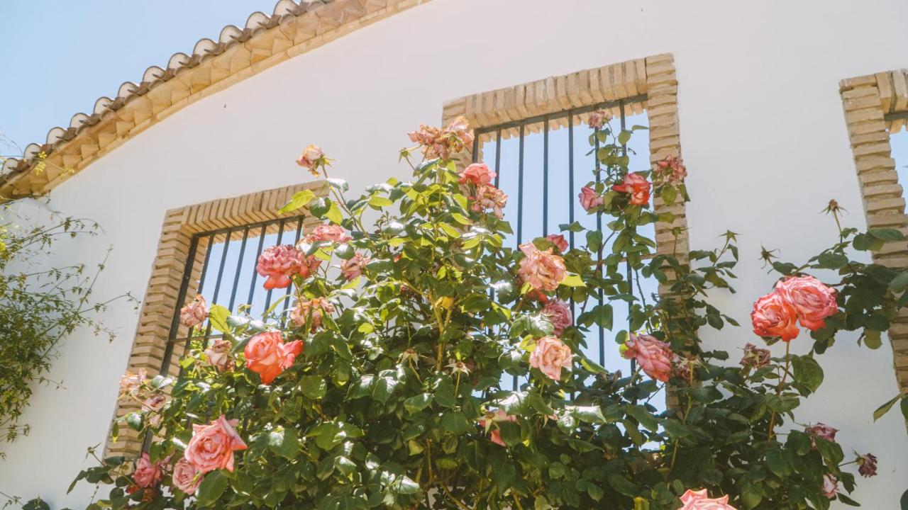 La Casita de Elpida By Alma Sur Rentals - B&B Cijuela