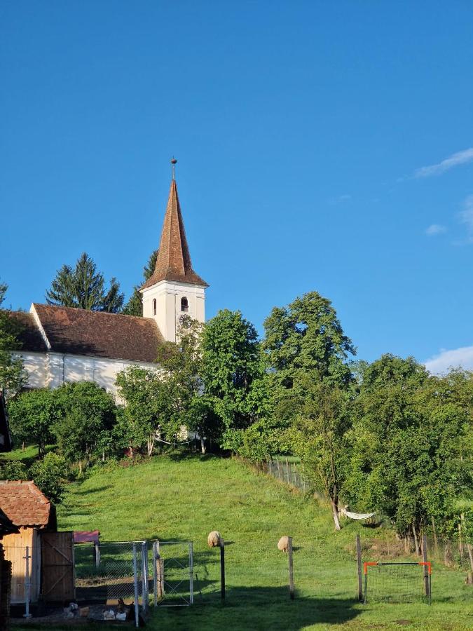 Albert Haus - B&B