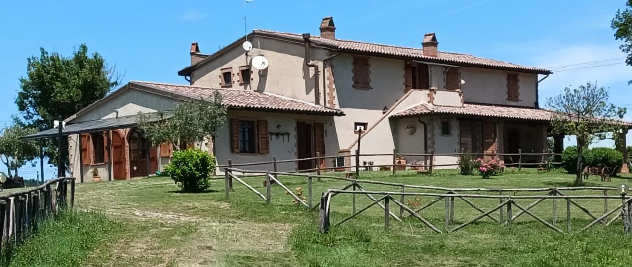 Agriturismo GREPPA BOVI - B&B Montorsaio