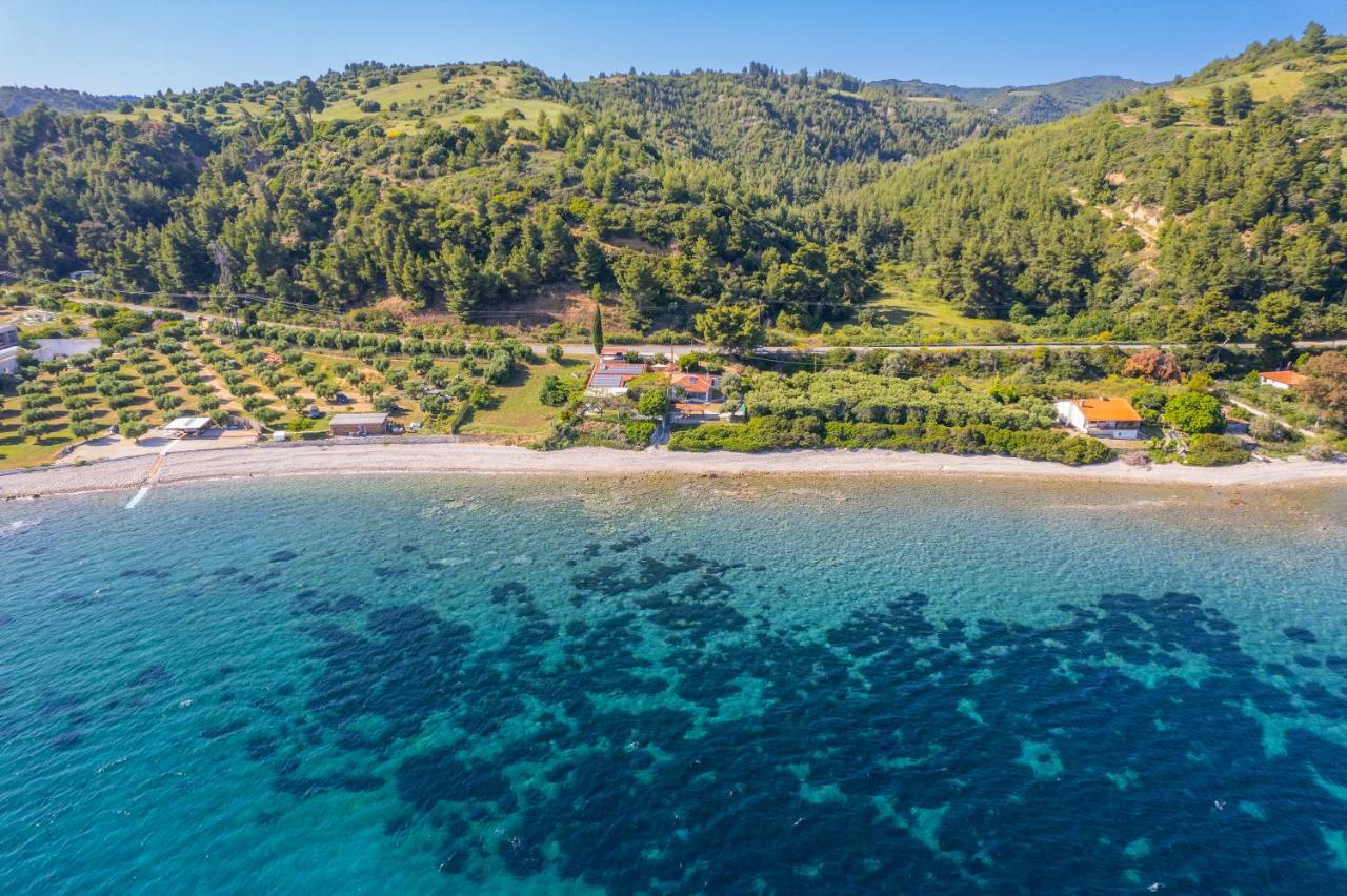 Zogia Luxury Villa - Bed and Breakfast Nea Skioni