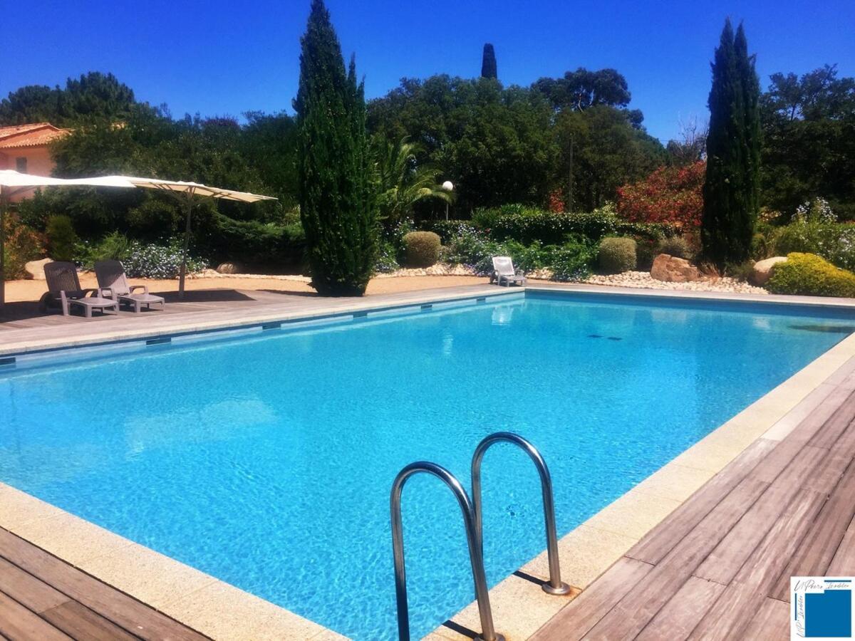 Villa Immortelle, Piscine, SPA, 500m plages et commerces - B&B Lecci