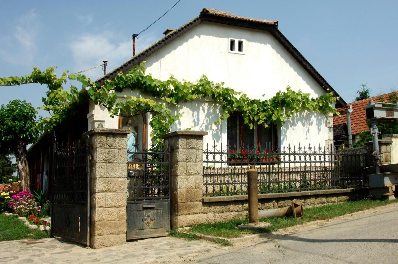 B&B Tarcal - Pataky Borporta - Bed and Breakfast Tarcal