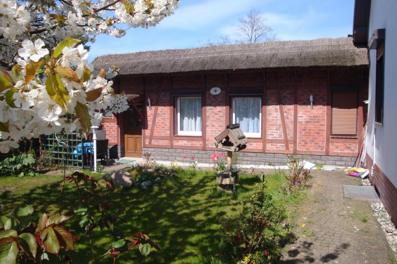 Ferienquartier T5 Bahnhofstraße 6 - B&B Trassenheide