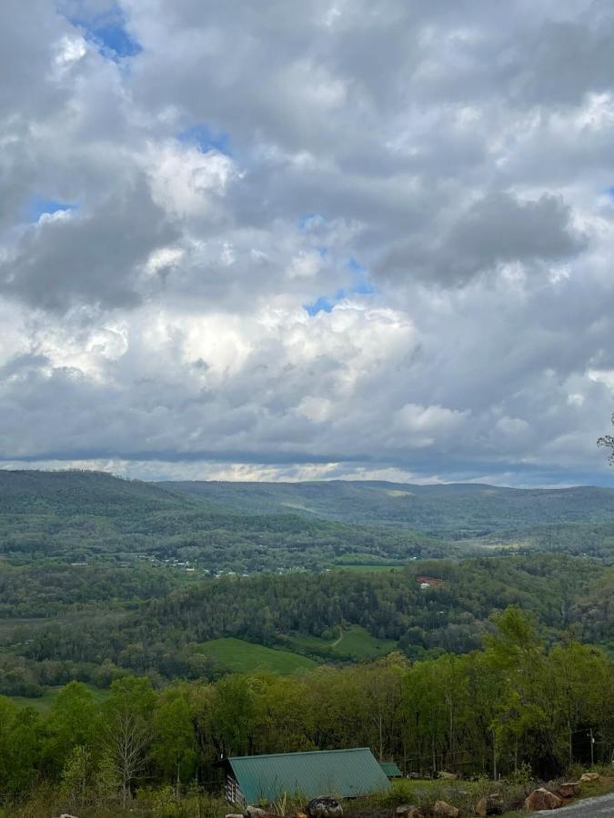 Tree top View 15 - B&B