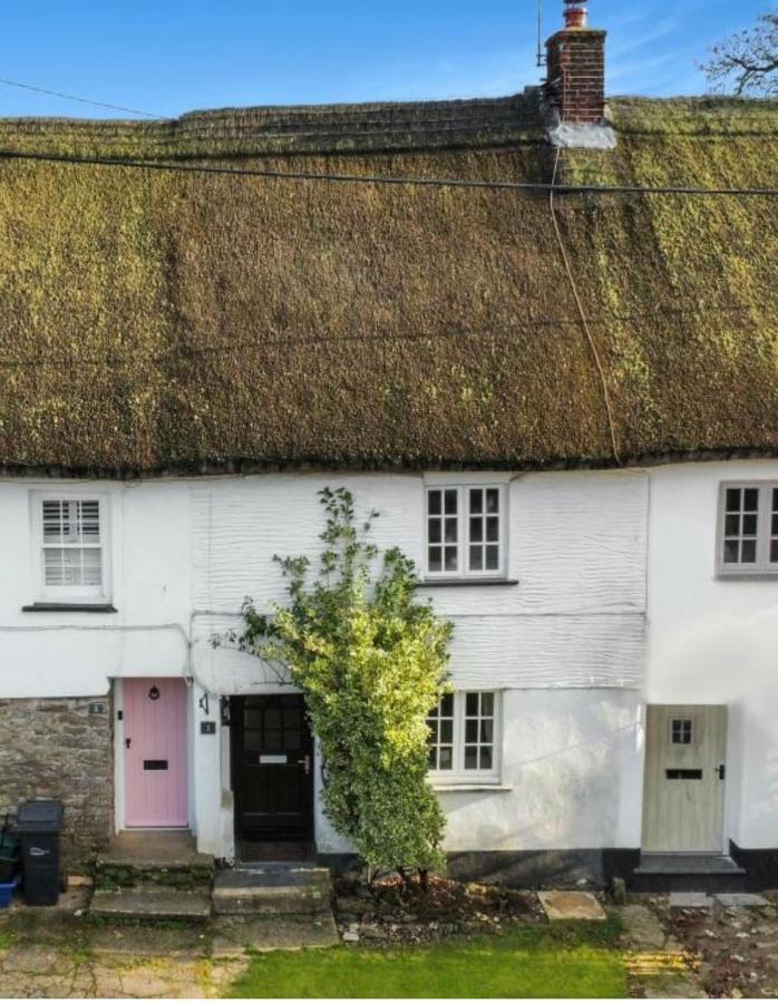 Cosy North Devon Thatched Cottage near beaches - B&B