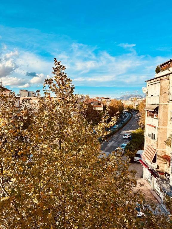 Teo Apartment 2 - Bed and Breakfast Tirana