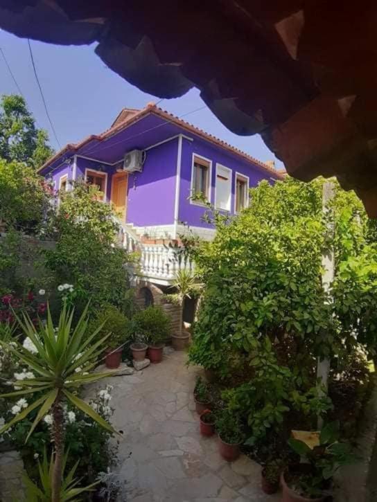 Ilia Gloria house - B&B Berat