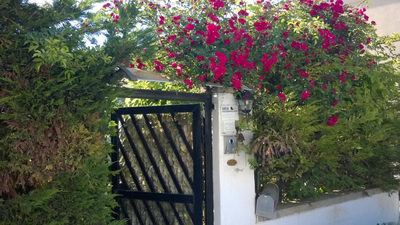 B&B Brindisi - B&B Mare E Sole - Bed and Breakfast Brindisi