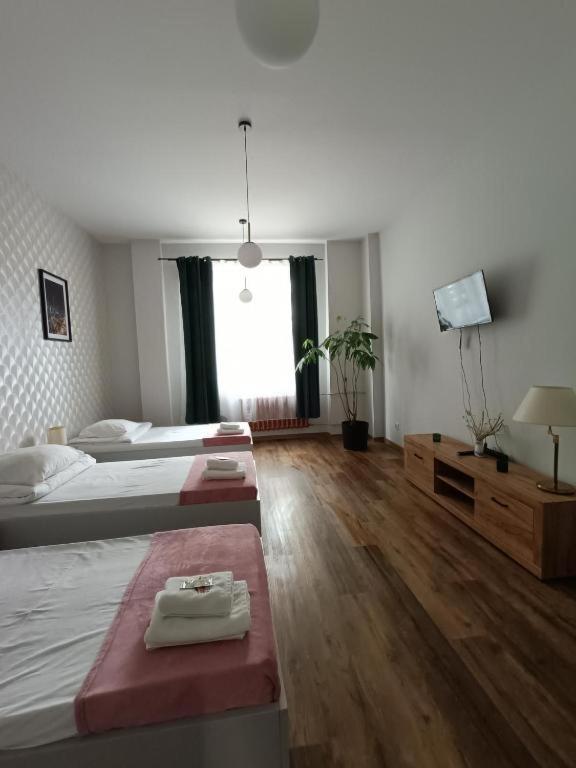 Apartament Kutno - Sami Swoi - B&B Kutno
