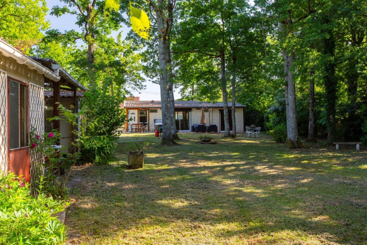 La Salamandre - maison avec jacuzzi - B&B
