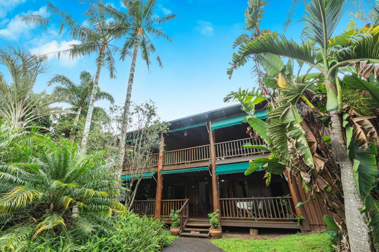 Atherton Blue Gum - B&B