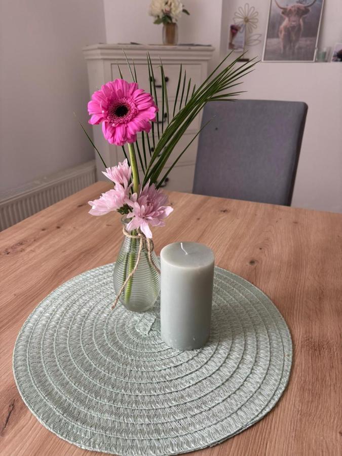 Dorfwohnzimmer Apartment - Chambres d'hôtes Roggendorf