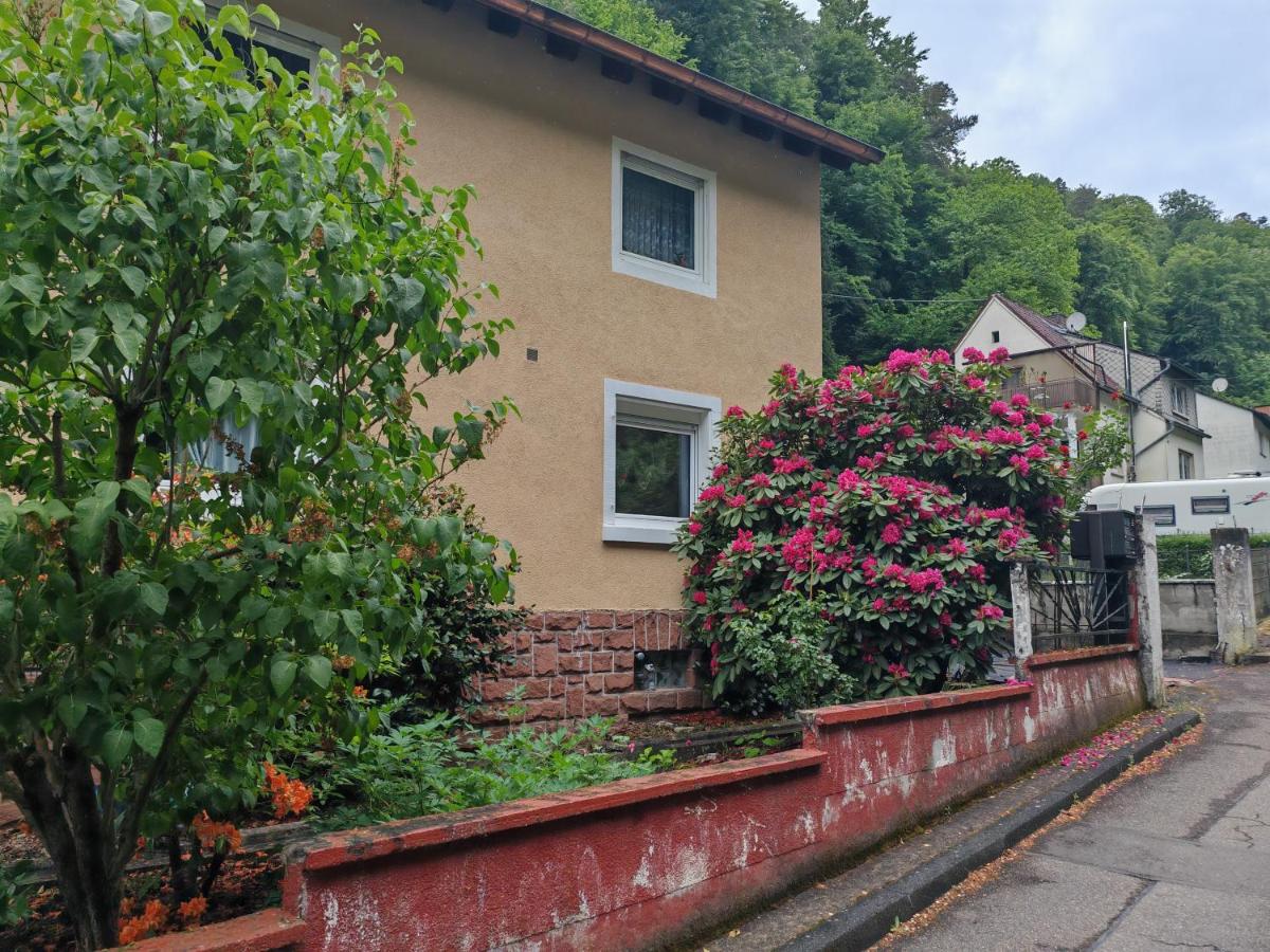 Traumhafte Unterkunft - Ferienwohnung Neidenfels