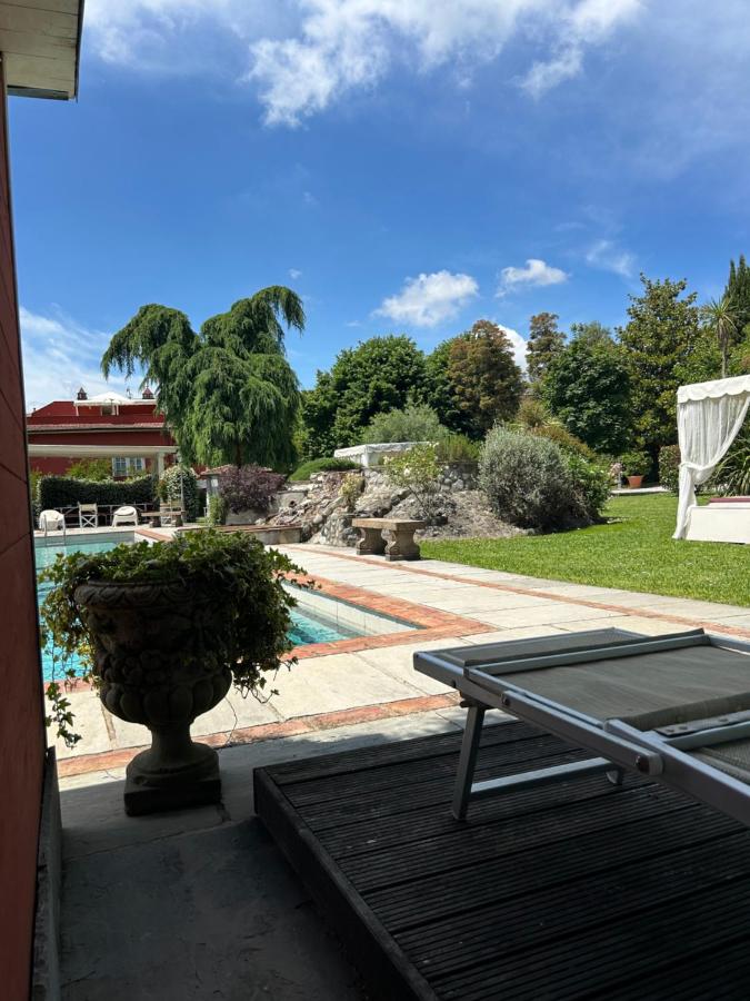 BASILIMO di Home Hill - Ferienwohnung Capannori