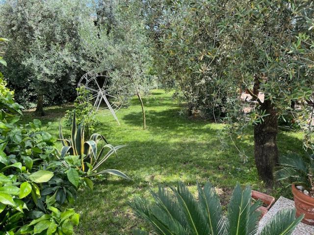 MAREMONTI alloggio turistico - B&B