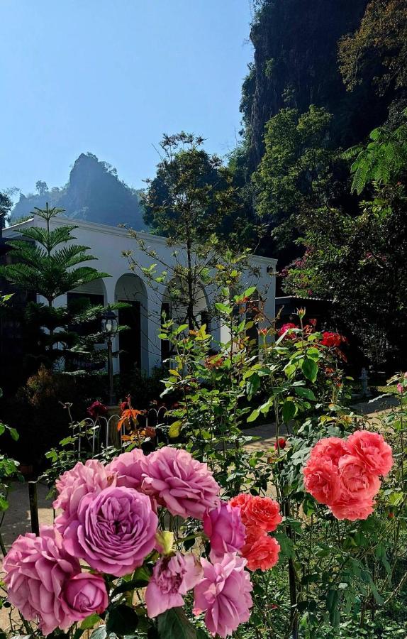 วีรพัชนารา - B&B Ban Musoe