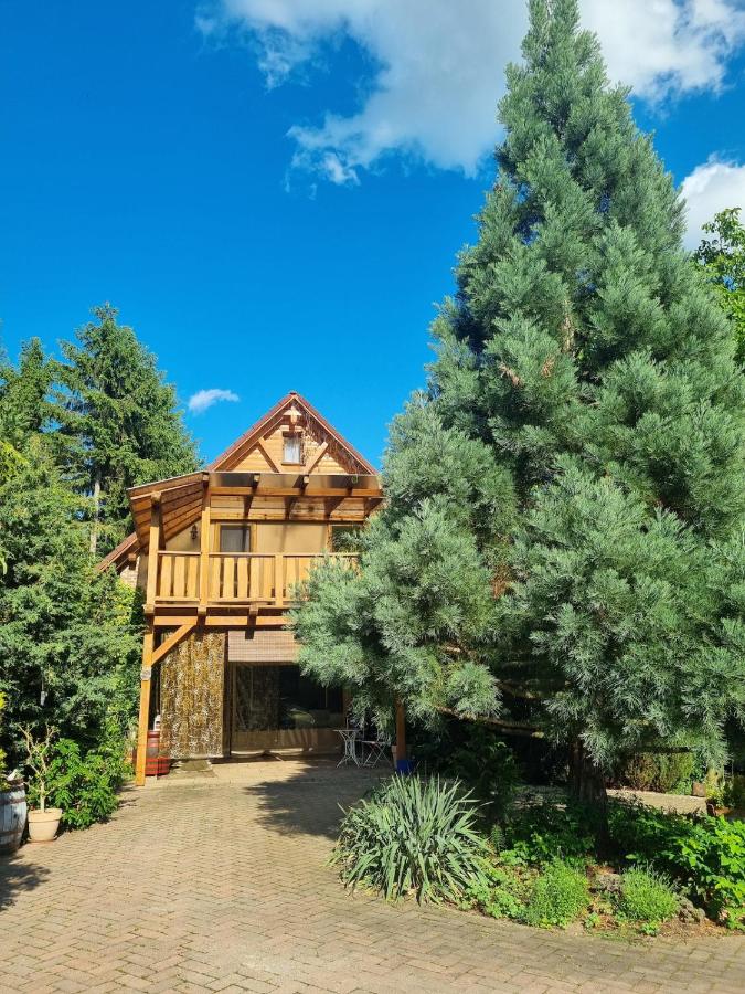 Bámbi Apartman - Chambres d’hôtes Harsány