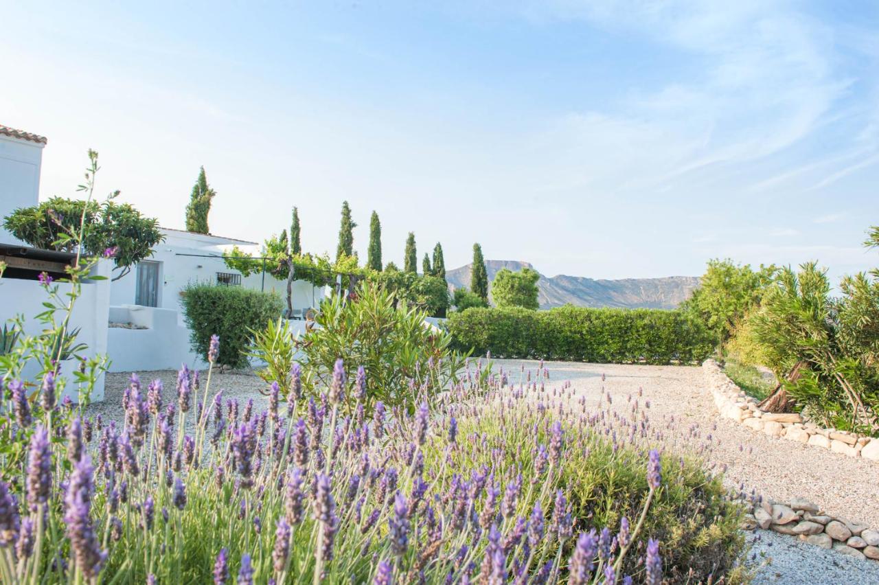 Boutique Bed & Breakfast Casa Paco - adults only - Bed and Breakfast