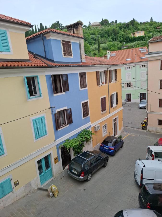 Bird - Ferienwohnung Piran