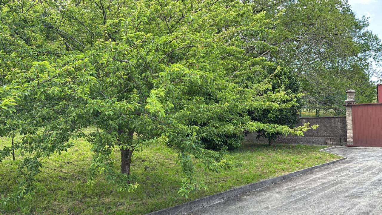 Casa de Outes - B&B Sierra de Outes