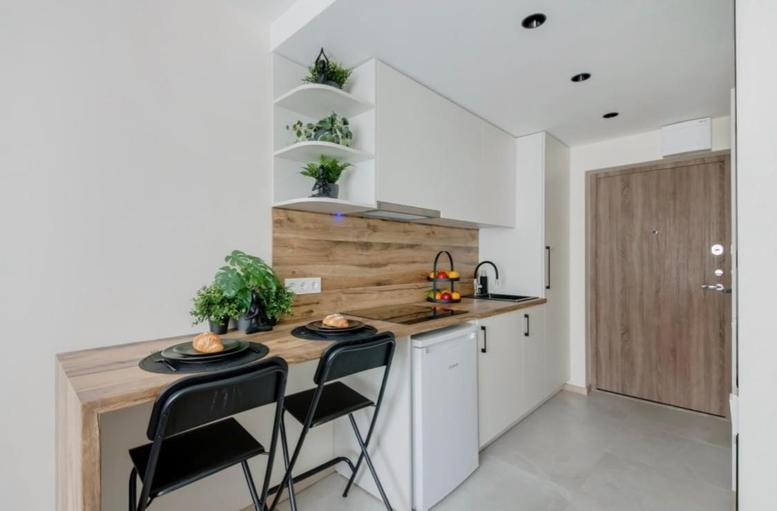 Green Apartment - Chambres d’hôtes Vilnius