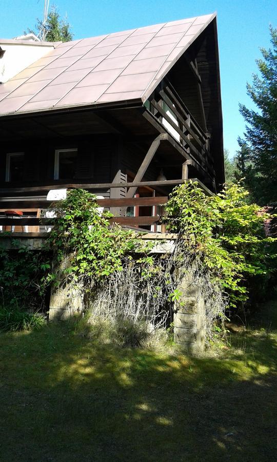 Dom letniskowy POŚRÓD KASZUBSKIEGO LASU - B&B Gmina Studzienice