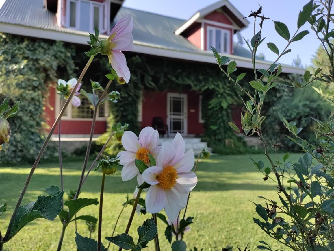 Serenade - B&B Shilwat