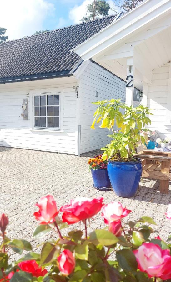 Cozy Guesthouse with Private Garden - B&B