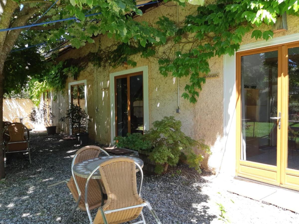 Studio with Garden View