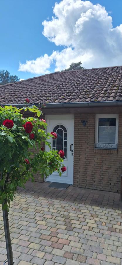 Haus Schiller - B&B Zeuthen