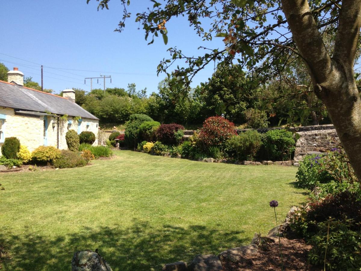Charming Welsh Cottage - B&B