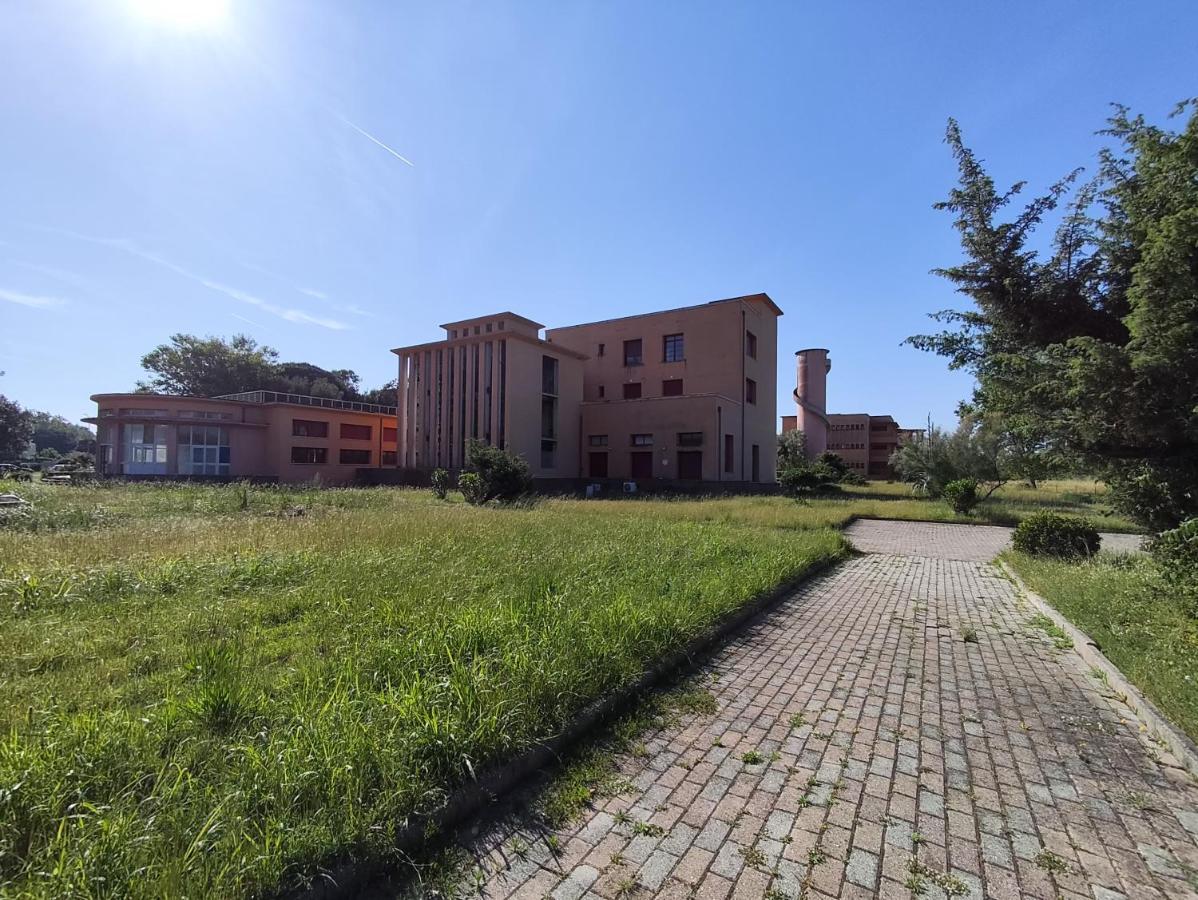Casa di Vira - B&B Calambrone
