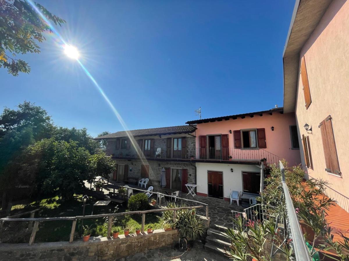 Azienda Agrituristica Il Cerreto - B&B