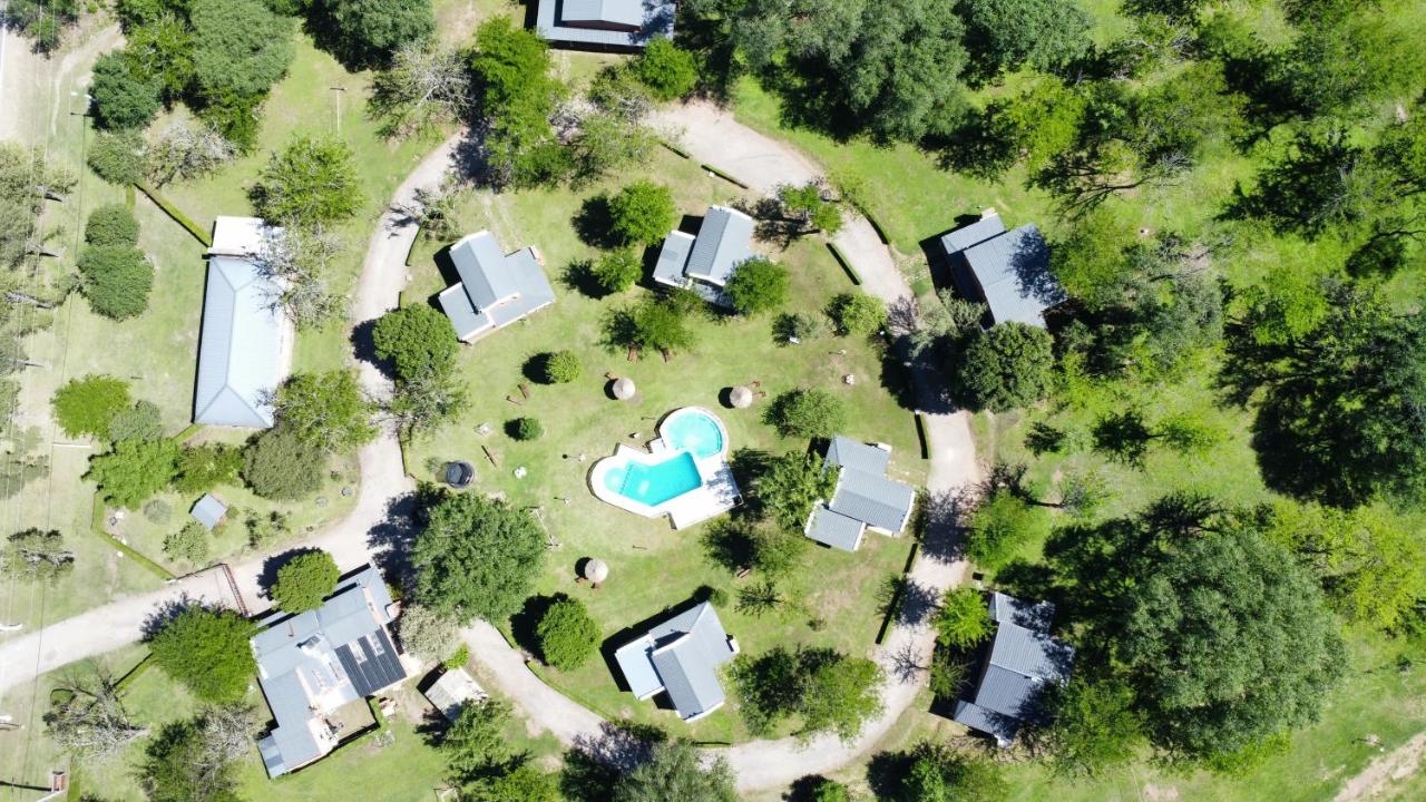 cabaña rodeada de bosque - B&B