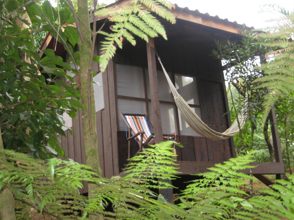Yatama Rainforest Ecolodge - B&B