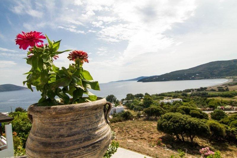 One-Bedroom Apartment with Sea View and Terrace